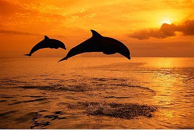 《坎巴拉太空计划2》预告片展示教学步骤